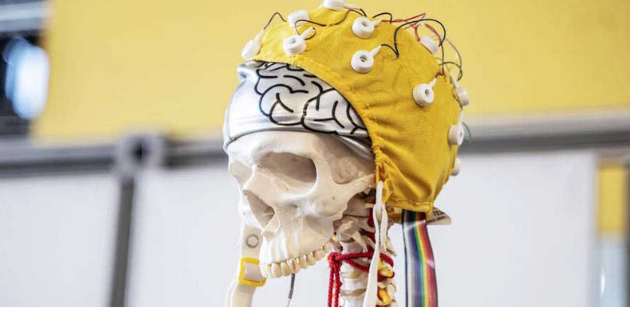 La 22ème Semaine du Cerveau invite l&rsquo;audition dans ses expositions