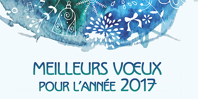 Excellente année 2017 !